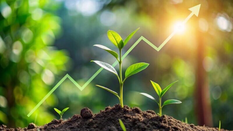 Introdução ao Growth Hacking- crescendo rapidamente